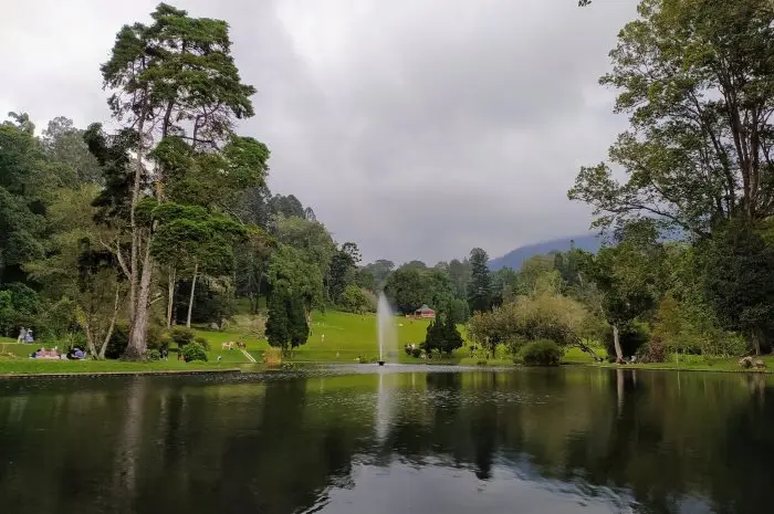 Kebun Raya Cibodas